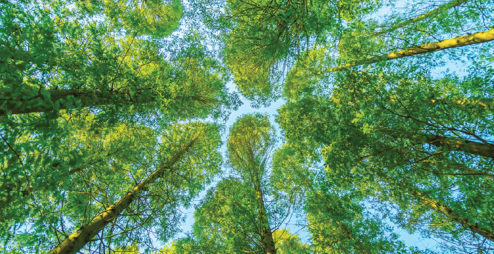 Unlocking Environmental Health: Reduce Carbon Emissions with FS-Elliott's AirCompare